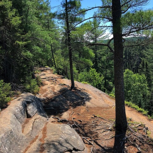 lavenderwaterwitch:I could stare off into the distance for hours off this gorgeous cliff — th