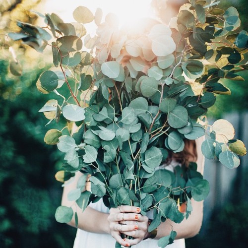 considerthewldflwrs:  Fall has been peeking out at us for weeks. It whispers to us from behind the green leaves, warning us that their color is about to change and with that change, the stems are going to break free and drift towards the ground for a