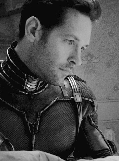 Sex Paul Rudd Daily pictures