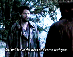 mytra-fallen-angel:  supernaturalapocalypse:  What actually happened in Purgatory. deansass I told you I could make a gifset AU where Castiel chases bees and then Destiel somehow becomes canon.  hahaha this fandom is just so full of denial  