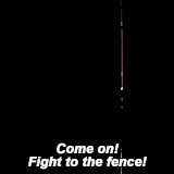 macheteandpython:  Rick Grimes in every episode - No SanctuaryCross any of these