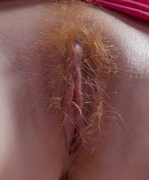 ginger pubes