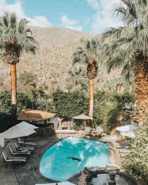 collagevintage: Morning Views #palmsprings #collageontheroad