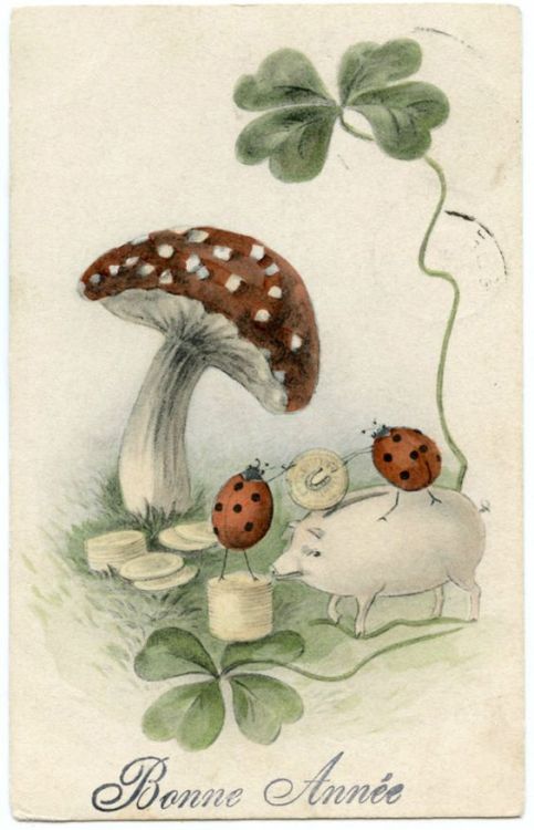 weirdchristmas: Pigs, ladybugs, mushrooms, coins, and clovers. MUST BE NEW YEARS!