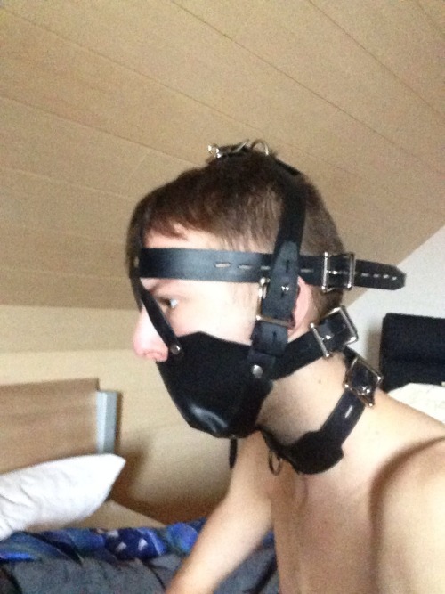 chainslavedogserving:Part of my new gear that arrived today, ballgag and headharness.  My first rubb