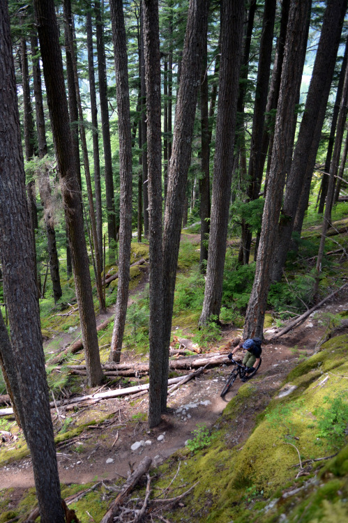 rollingontwo: Some shots from my riding trip over May long weekend.