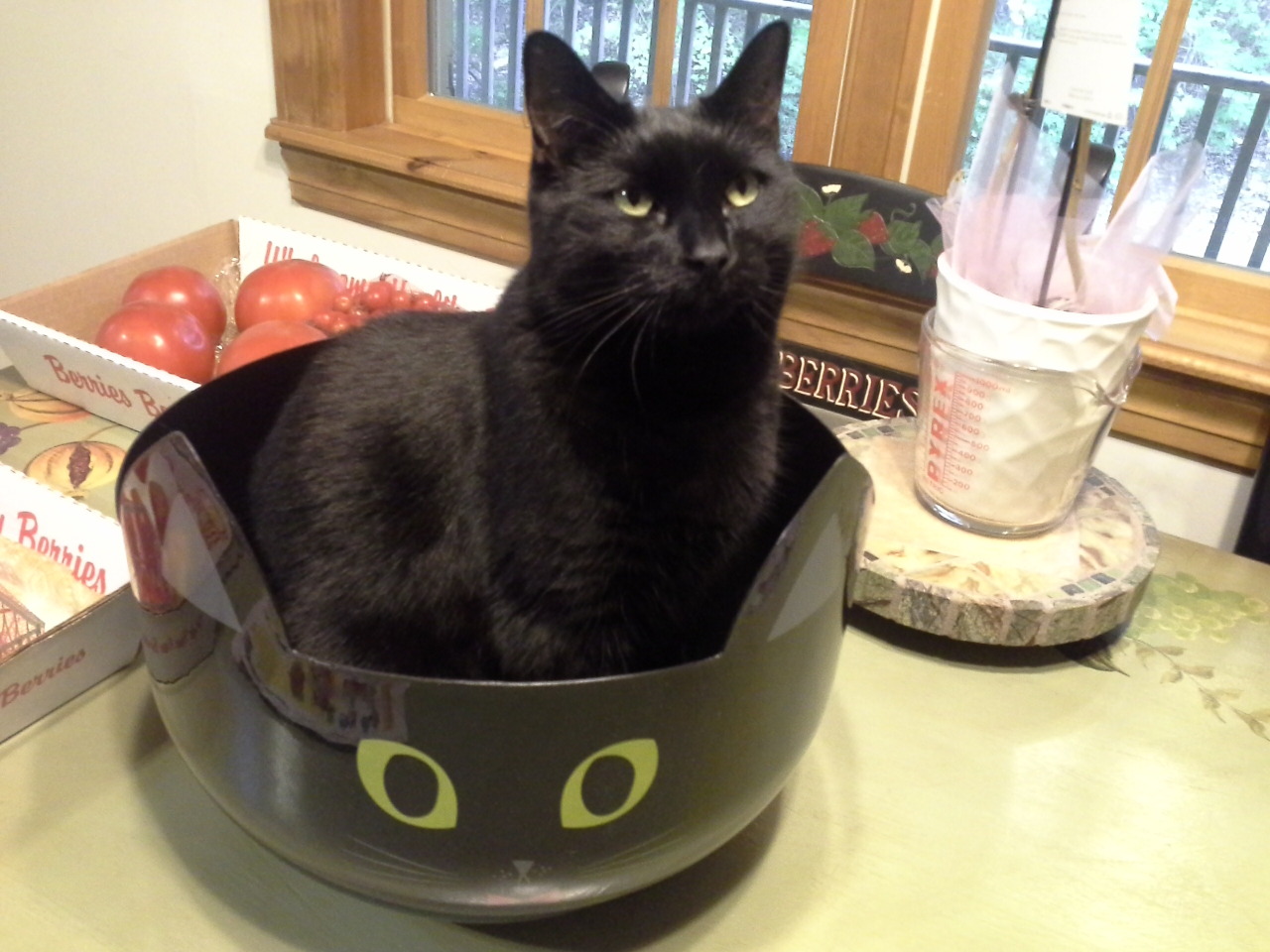 We got my mother a black cat Halloween candy bowl...