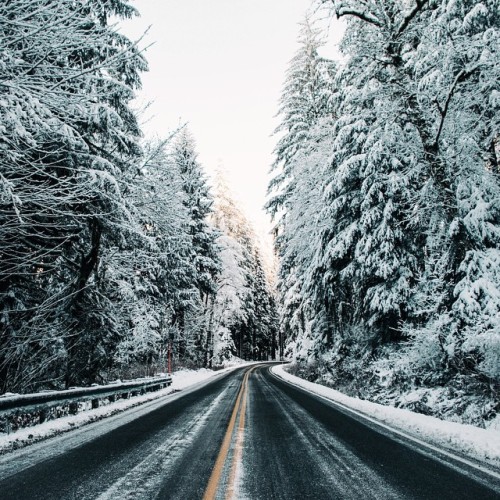 jacindaelena:   Sam Elkins 