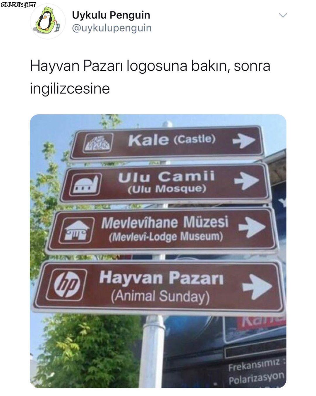 Gülmemeliyim...... Uykulu...