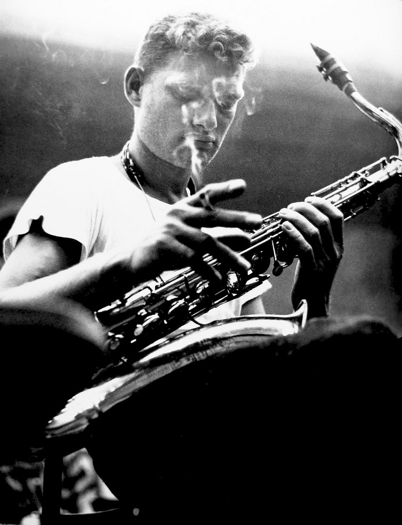 lírio luz