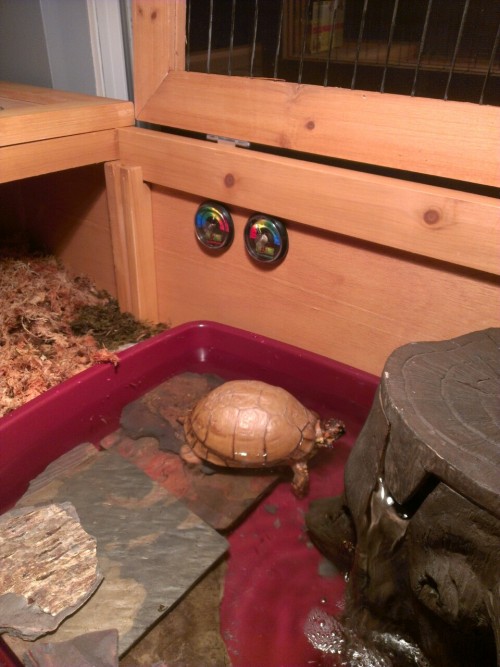 Hippy’s got some new digs! And he is super excited about it.