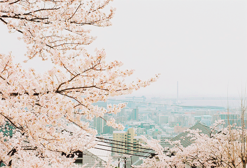 phuonguyenx3:  credit 
