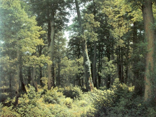 Oak Forest, by Robert Zünd, Kunsthaus Zürich, Zürich.