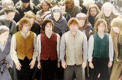 ohevenstar:  lotr/hobbit meme: day 19 - a scene that always makes you happy: aragorn’s coronation