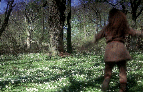 Ronia, The Robber’s Daughter (1984)