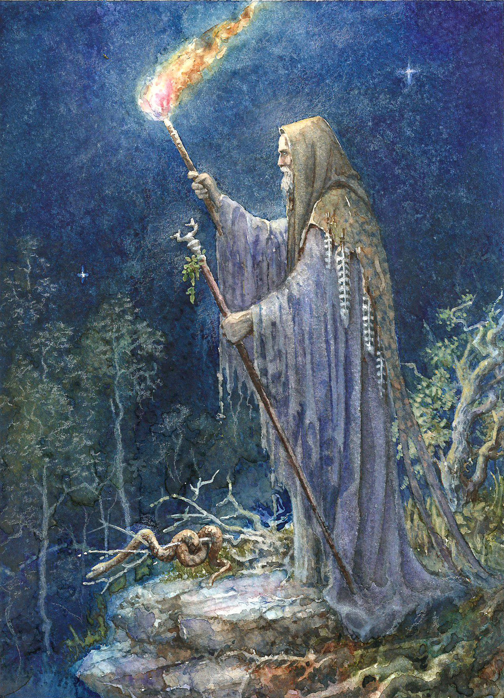 birdsofrhiannon: Myrddin by Anna Marie Ferguson