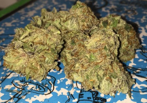 blazingsmoke: Huckleberry Kush /cross/ Hash Plant