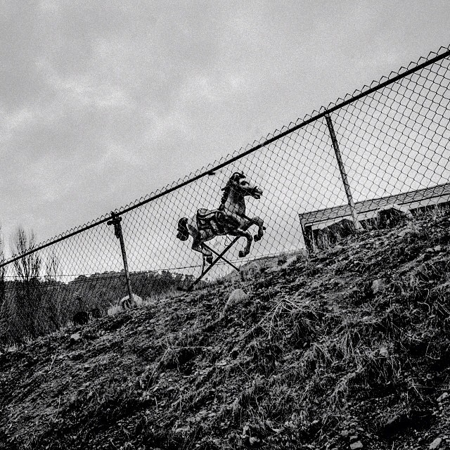 mattblack-blackmatt:
“ Toy horse. Frazier Park, CA. 34°49’21”N 118°56’41”W #geographyofpoverty
Read More
”