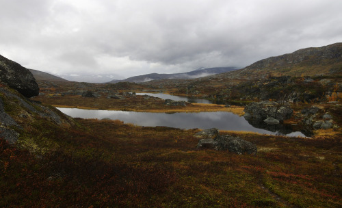 Day 7: Tundra hiking under grey skies by Gregor Samsa