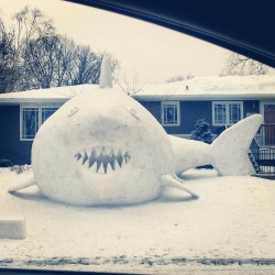 dying-to-be-th1n:  lauraisweird:  snow shark  I keep thinking the nostrils are the eyes and it makes me laugh 