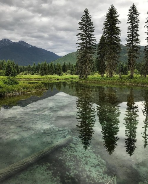 Yes, the water really is that clear. | : IG user northwesternadventurer