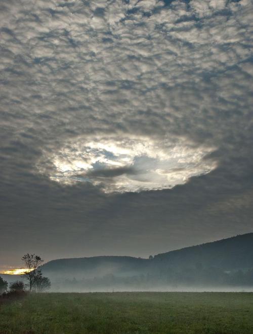 suitofcards:  stahp-it-jawn:  roaminglotus:  cryptidsandoddities:  Clouds are weird yo.  If I ever saw clouds looking like this I don’t know if I’d cry, shit bricks or do both simultaneously.   are clouds an actual thing  The gif of that weather
