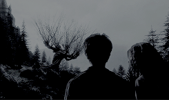 hpday: Besides, the world isn’t split into good people and Death Eaters. We’ve