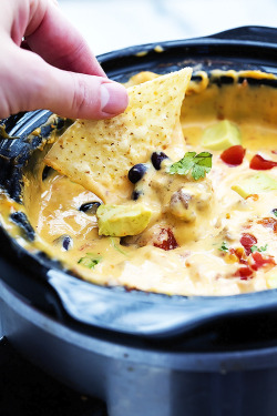 do-not-touch-my-food:    Taco Queso Dip 