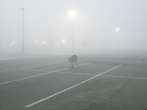 Richard Misrach (American, b. 1949, Los Angeles, CA, USA) - Shopping Cart, Tanger Factory Outlet Cen