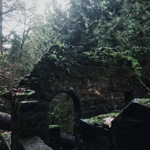 dyspnoeic:Needed to surround myself with nature today. hung around the witches castle for a little 