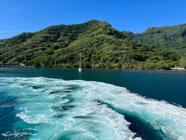 Porn photo Moorea. 