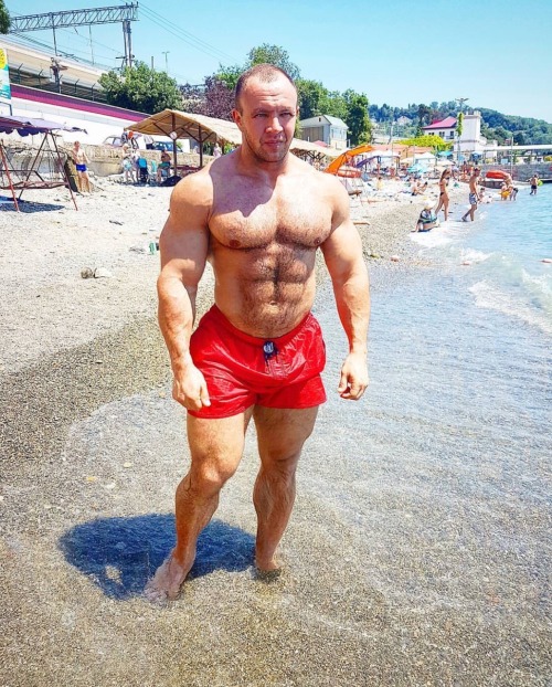 Musclebears & Co.