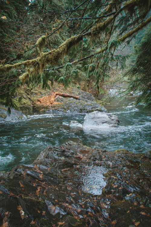 millivedder:  Torquise blue waters