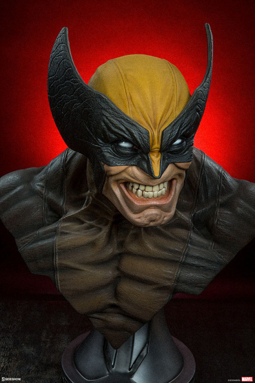 Porn photo haxanbelial:  Wolverine life-size bust by