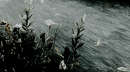 swainlake:↳ tumblr award prizes // macbeth for @helenstroy“stars, hide your fires; let not light see