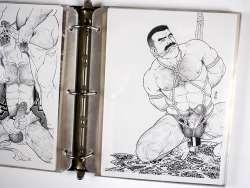 sexymanincartoon:  gaymanga:  Various illustrations by Gengoroh Tagame (田亀源五郎) Photographed from the collection of the Tom of Finland Foundation.  http://sexymanincartoon.tumblr.comhttp://sexymencowboy.tumblr.com  http://sexymaninsuits.tumblr.com