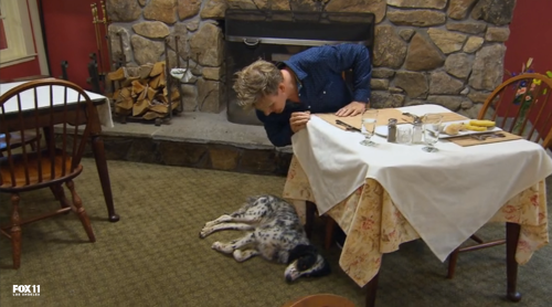 unclefather: becketts: that one time on Hotel Hell when Gordon Ramsay fed the owner’s dog so