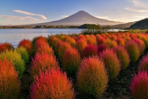 Mount Fuji as seen from Lake Kawaguchi in southern Yamanashi Prefecture.————————————Photo Credit