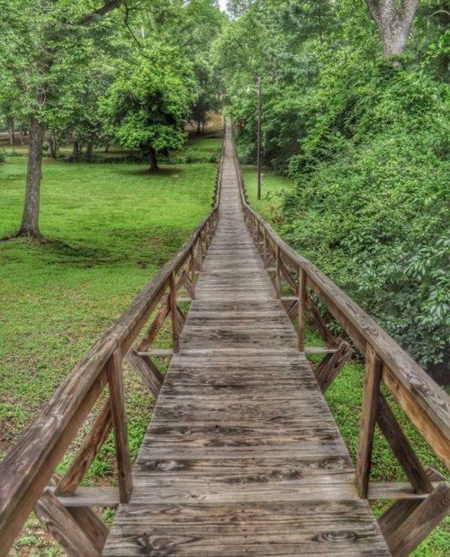 ⁠ Take a walk on the longest wooden trestle bridge (546 feet long) in America in Rusk, Texas! It&rsq
