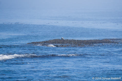 7.7.2014 - day 5 on the West Coast Trail#BC #Canada #VancouverIsland #WestCoastTrailPortfolio - Blog