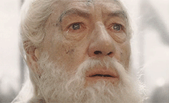 liisbons:  i will not say do not weep, for not all tears are an evil 