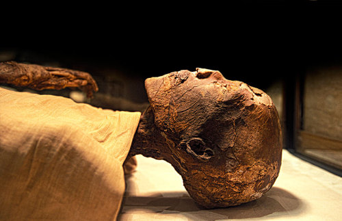 Royal Mummy of Ramesses IVRamesses IV was the eldest son of Ramesses III. He succeeded his father af