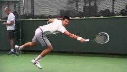 nakedmalecelebs1:  Novak Djokovic eret dick  