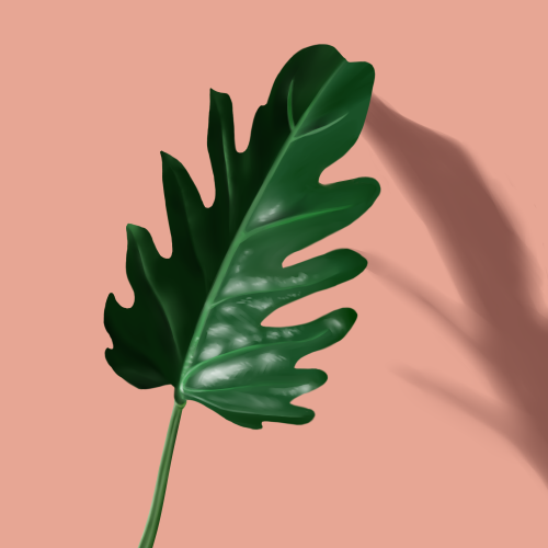 i got commissioned to paint a leaf and make a plant care card to slip into Halaman Doon PH&rsquo;s d