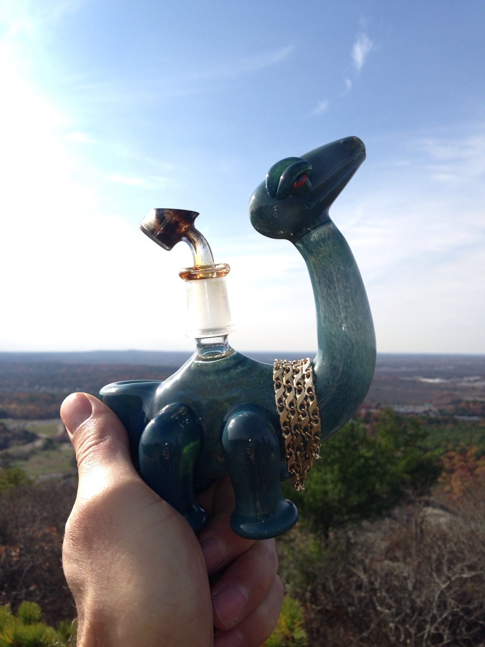 rice4257:  Made it to the top! Little foot hiking for the first time!