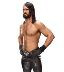 Believeindeanambrose:    Seth Rollins  