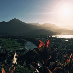 We already are in heaven. ❤️ #hawaii #views #grateful by amplification