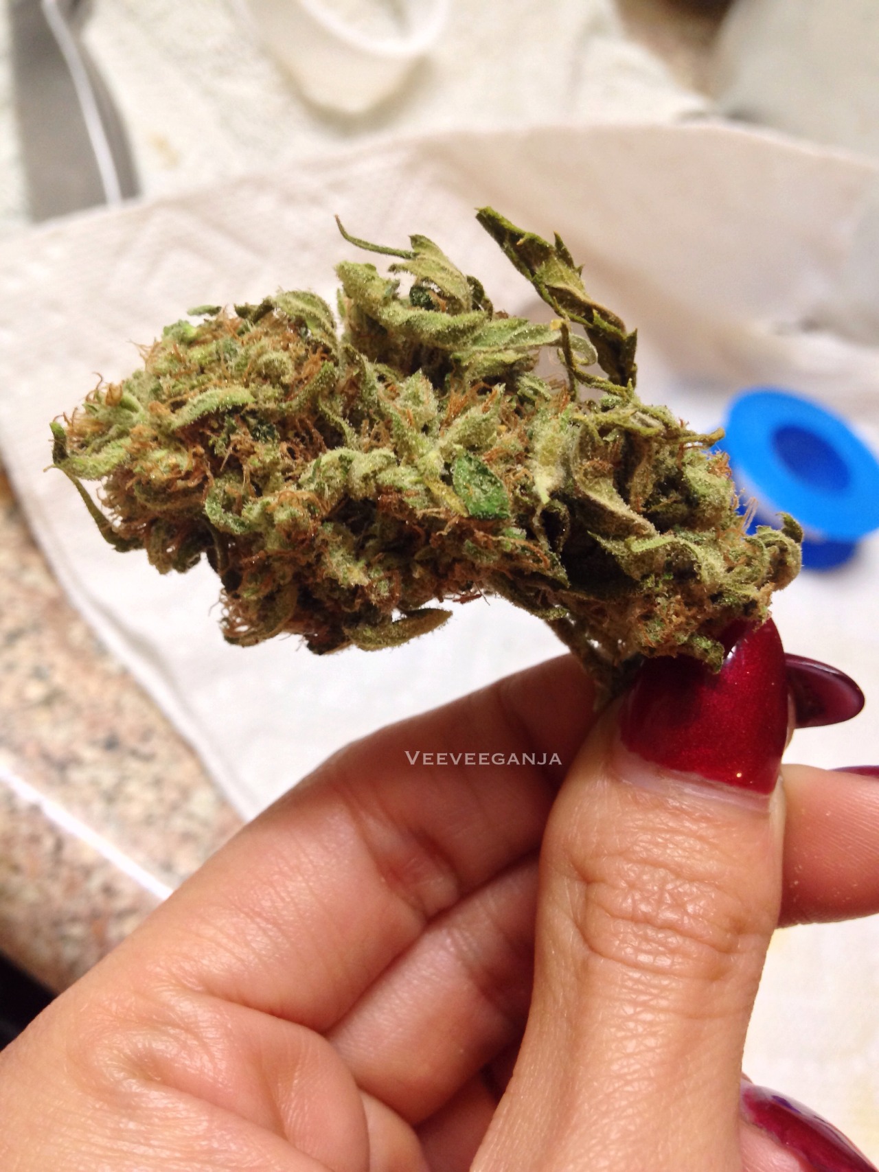 veeveeganja:  Fruity Chronic