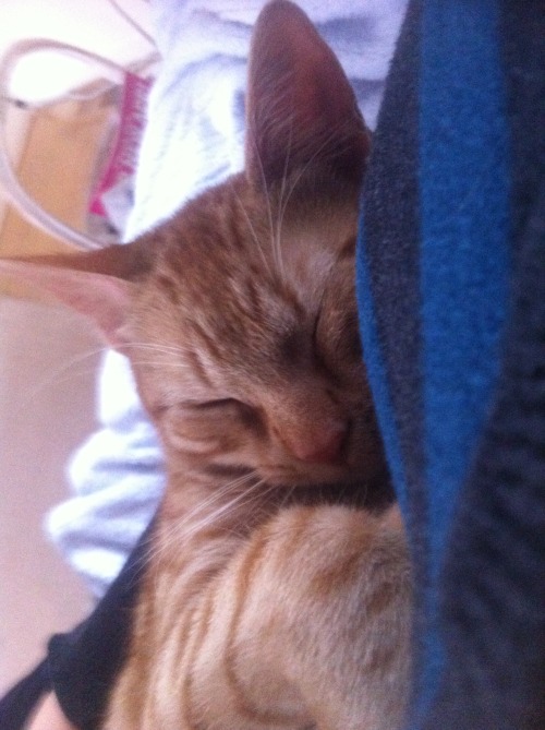 look how beautiful my son is