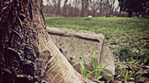 lovebizarreoddities: Bachelor’s Grove Cemetery Midlothian, Illinois Hidden in an array of crowded, t